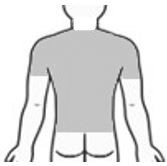 Rücken mit 1/2 Oberarm Rücken mit 1/2 Oberarm