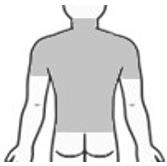Rücken mit Nacken und 1/2 Oberarm